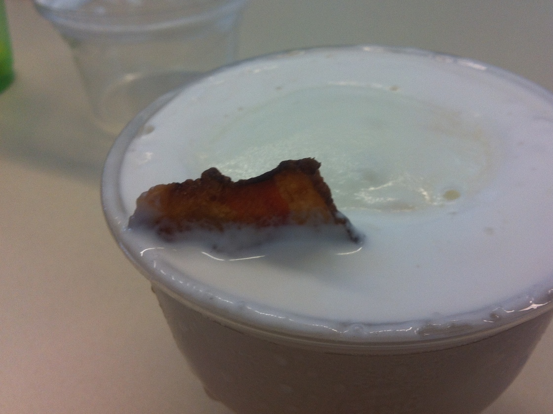 The bacon shark, hiding beneath the surface, is betrayed by its dorsal fin.