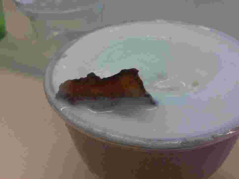 The bacon shark, hiding beneath the surface, is betrayed by its dorsal fin.