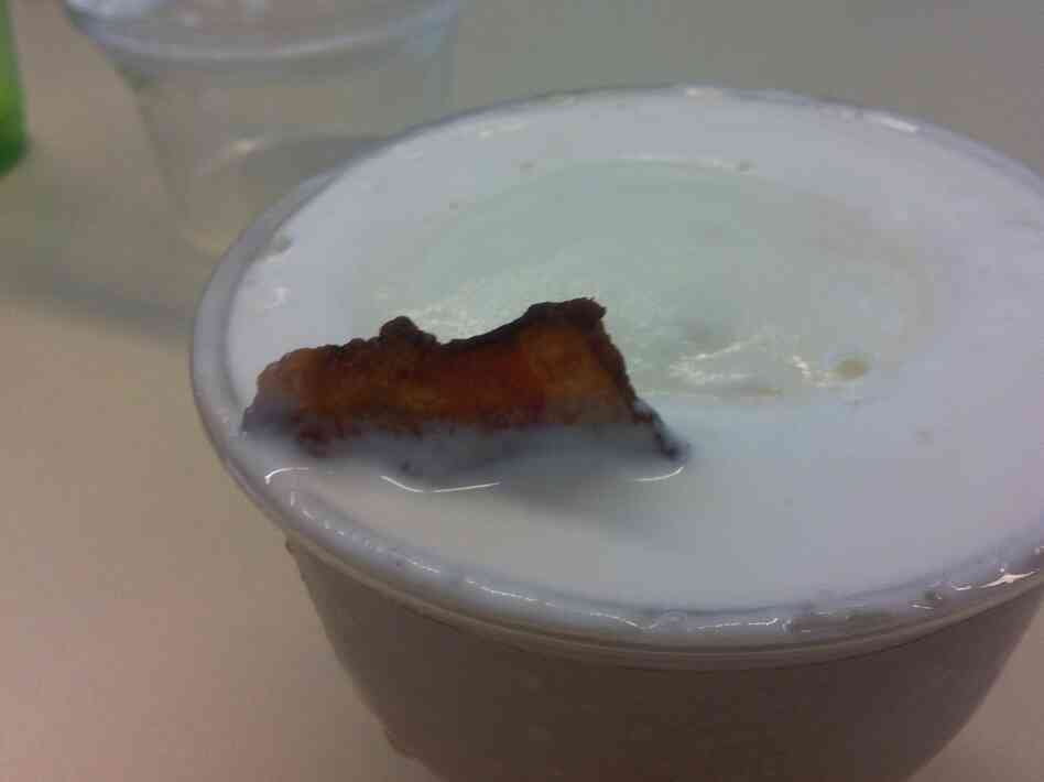 The bacon shark, hiding beneath the surface, is betrayed by its dorsal fin.