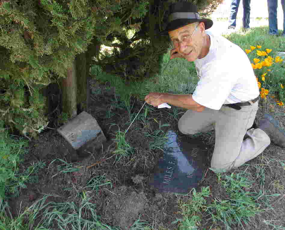 Tony Pires uses a metal rod to find a grave marker. Decades of growing plants, pecking birds and digging gophers can make things strangely "disappear" in old cemeteries like Gilliam.