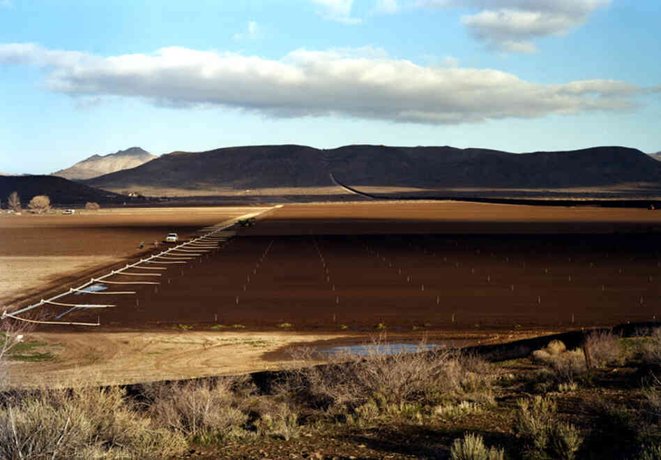 Farm with workers, Jacumba, Calif., 2010