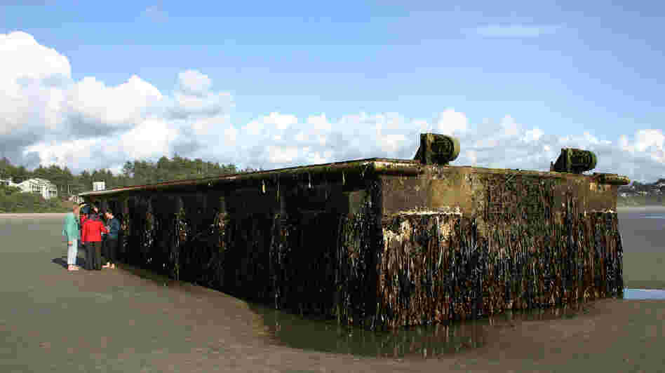 A nearly 70-foot dock that was torn loose from a fishing port in northern Japan by last year's tsunami washed ashore on Agate Beach in Oregon. Marine scientists have found potentially invasive species among the 100 tons of marine life that traveled aboard the dock. A nearly 70-foot dock that was torn loose from a fishing port in northern Japan by last year's tsunami washed ashore on Agate Beach in Oregon. Marine scientists have found potentially invasive species among the 100 tons of marine life that traveled aboard the dock.