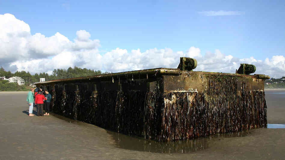 A nearly 70-foot dock that was torn loose from a fishing port in northern Japan by last year's tsunami washed ashore on Agate Beach in Oregon. Marine scientists have found potentially invasive species among the 100 tons of marine life that traveled aboard the dock. A nearly 70-foot dock that was torn loose from a fishing port in northern Japan by last year's tsunami washed ashore on Agate Beach in Oregon. Marine scientists have found potentially invasive species among the 100 tons of marine life that traveled aboard the dock.