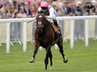 Frankel, with jockey Tom Queally aboard, as he sped away with the win today at Royal Ascot. Frankel, with jockey Tom Queally aboard, as he sped away with the win today at Royal Ascot.