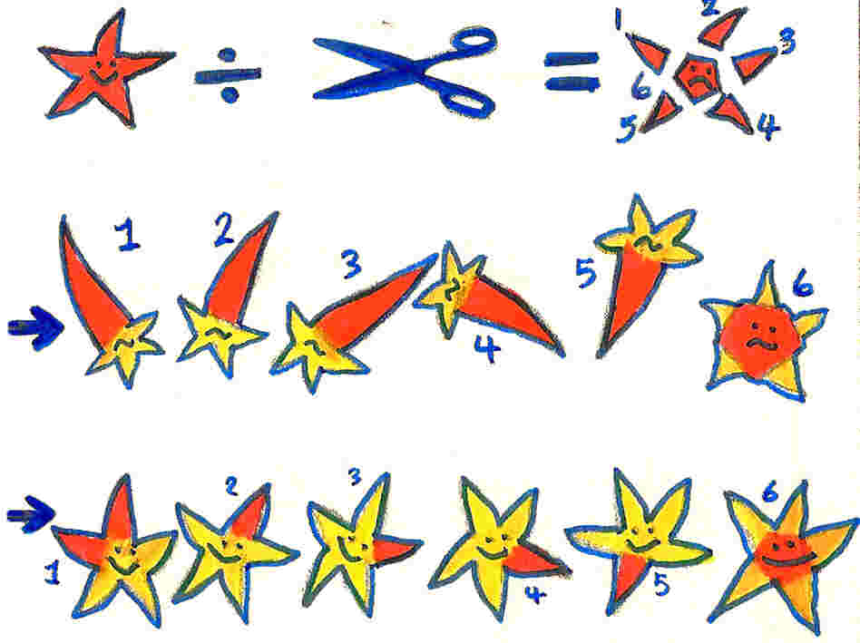 Starfish have remarkable regenerative powers.