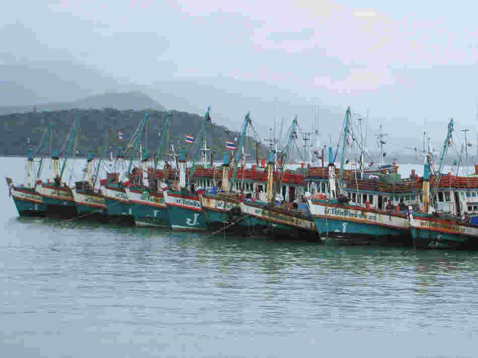 Thailand has a huge fishing fleet, but the industry is chronically short of fishermen. Human traffickers have recruited unsuspecting workers from Cambodia and Myanmar who end up spending months or even years at sea.