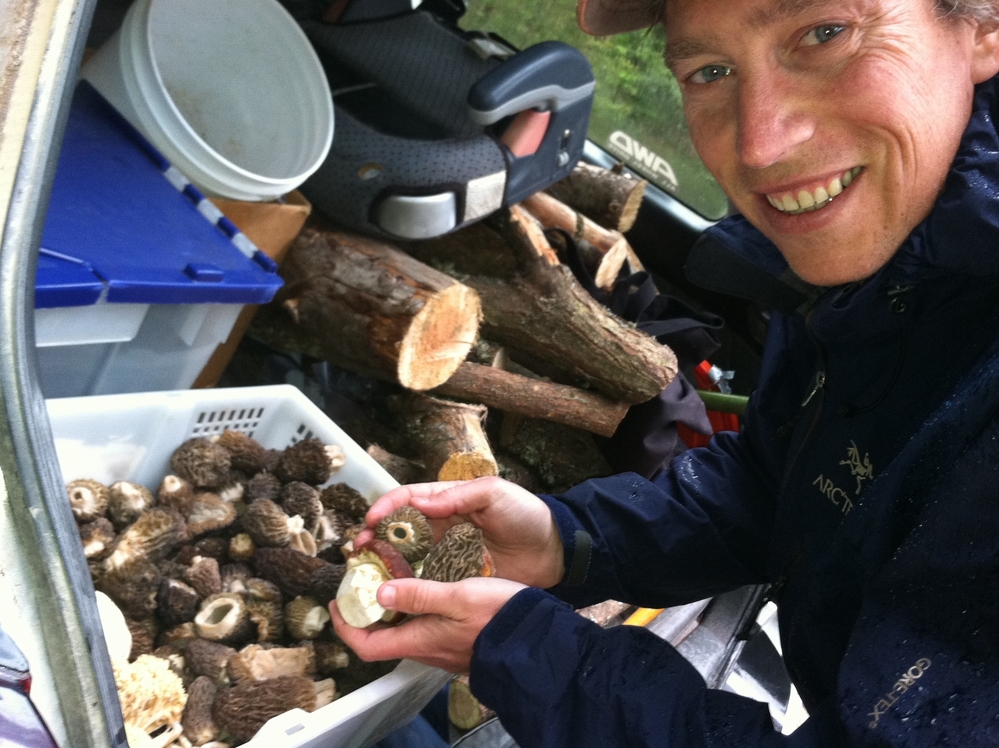 Langdon Cook shows off the morel and porcini mushrooms he's foraged and stored in the trunk of his car.