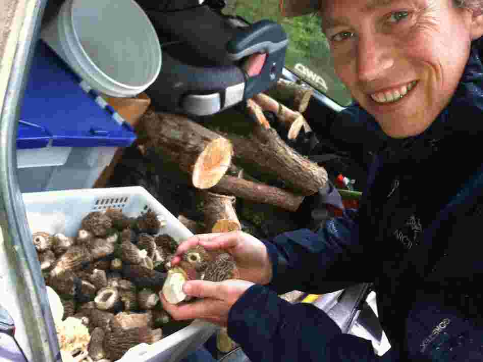 Langdon Cook shows off the morel and porcini mushrooms he's foraged and stored in the trunk of his car.
