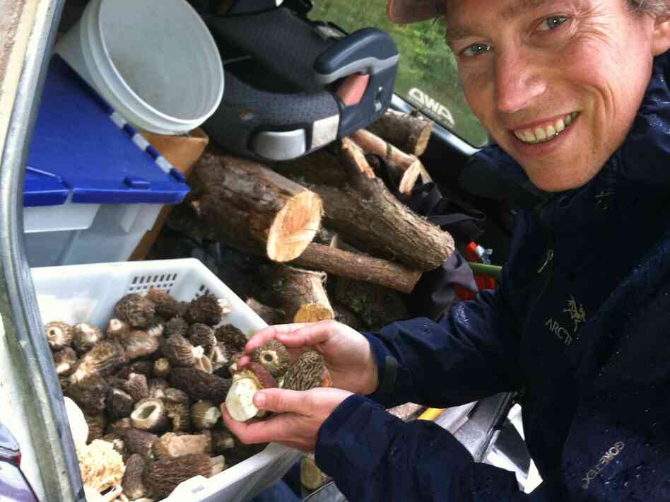 Langdon Cook shows off the morel and porcini mushrooms he's foraged and stored in the trunk of his car.