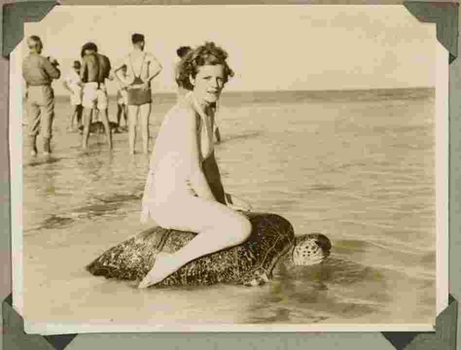 Riding a sea turtle, OK? (Mon Repos beach, Australia, circa 1930) Riding a sea turtle, OK? (Mon Repos beach, Australia, circa 1930)
