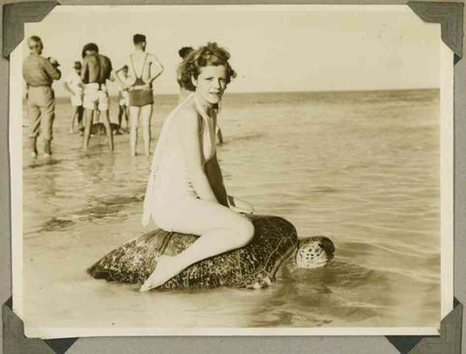 Riding a sea turtle, OK? (Mon Repos beach, Australia, circa 1930) Riding a sea turtle, OK? (Mon Repos beach, Australia, circa 1930)