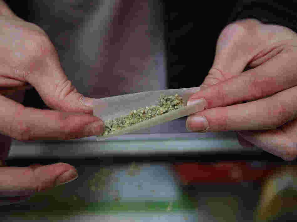 Brian Lawson rolls a  marijuana cigarette at the BC Marijuana Party Headquarters in Vancouver, British Columbia. Vancouver is in the marijuana-friendly corner of Canada.