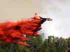 A plane drops fire retardant in LaPlata County, near Durango, Colo.