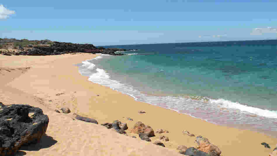 Billionaire Larry Ellison signed a deal announced this week to buy nearly all of the 141 square-mile Hawaiian island of Lana'i. Billionaire Larry Ellison signed a deal announced this week to buy nearly all of the 141 square-mile Hawaiian island of Lana'i.