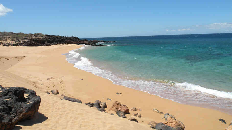 Billionaire Larry Ellison signed a deal announced this week to buy nearly all of the 141 square-mile Hawaiian island of Lana'i. Billionaire Larry Ellison signed a deal announced this week to buy nearly all of the 141 square-mile Hawaiian island of Lana'i.