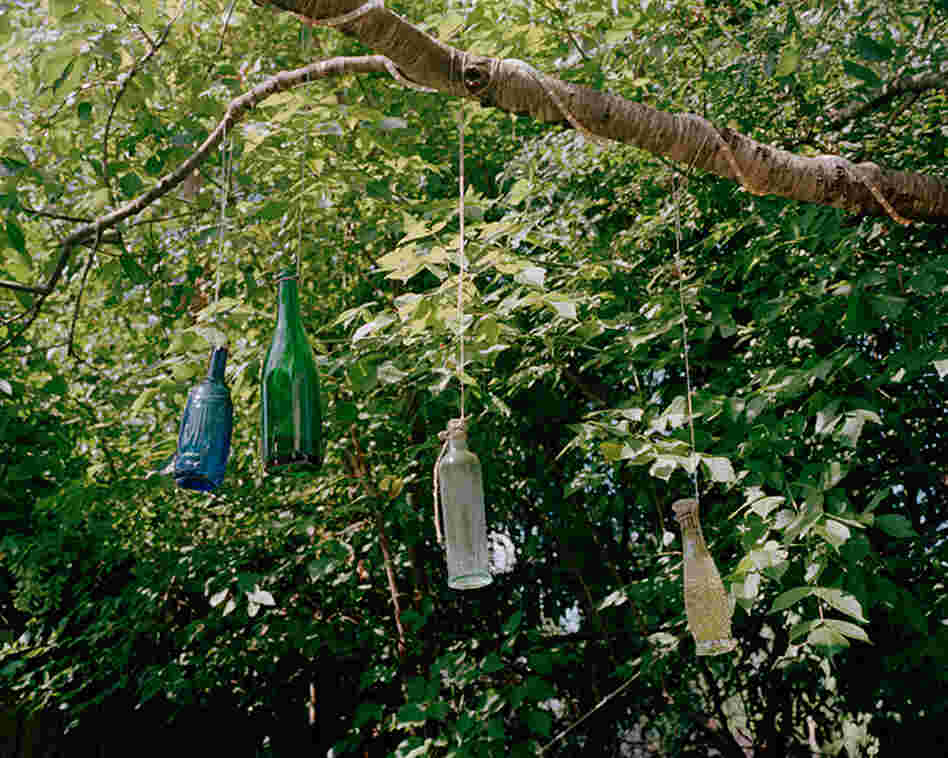 Spirit Bottles, 2011