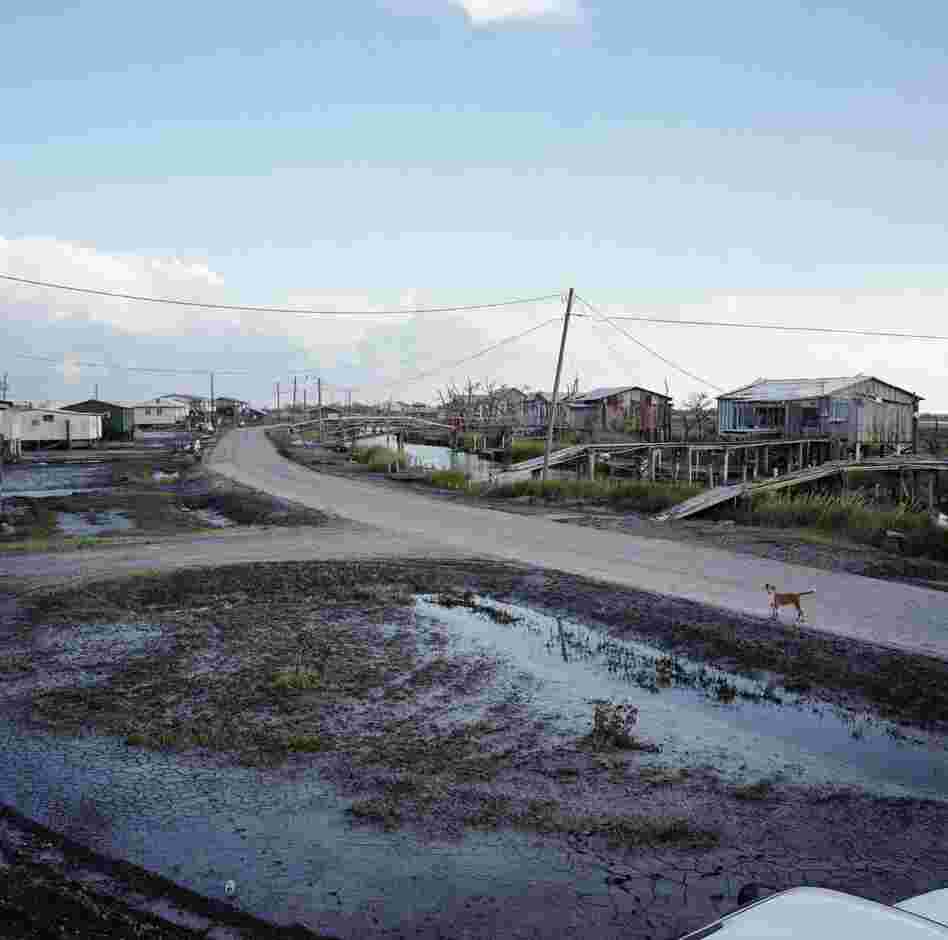 View from (the Late) Virgil Dardar's Porch, Isle de Jean Charles, Louisiana, 2008