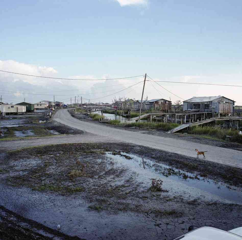 View from (the Late) Virgil Dardar's Porch, Isle de Jean Charles, Louisiana, 2008