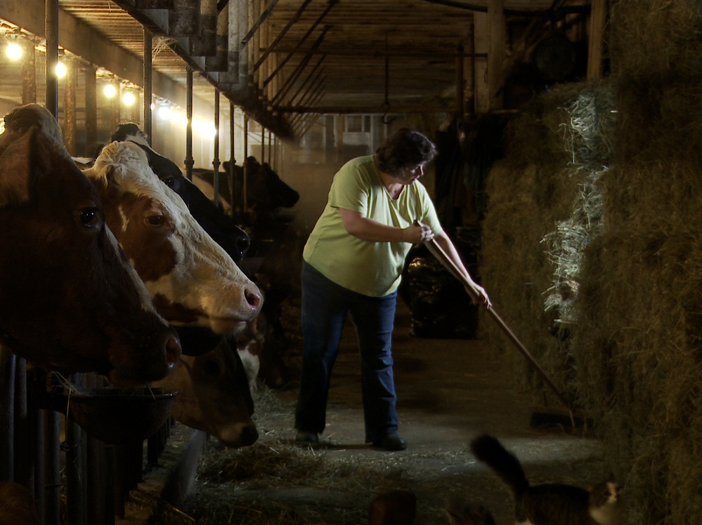 Laura Chase, a member of the MOOMilk dairy cooperative, sweeps her barn in a film still from documentary, Betting The Farm.