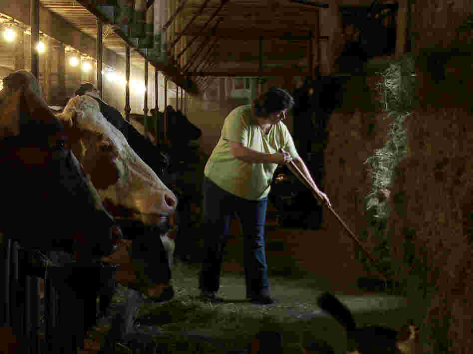Laura Chase, a member of the MOOMilk dairy cooperative, sweeps her barn in a film still from documentary, Betting The Farm.