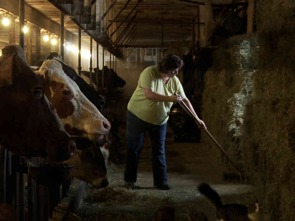 Laura Chase, a member of the MOOMilk dairy cooperative, sweeps her barn in a film still from documentary, Betting The Farm.