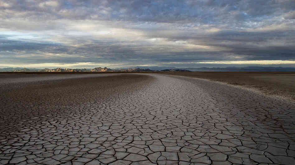Fifty miles south of the U.S.- Mexico border, the Colorado River Delta and its once-rich estuary wetlands -- reduced by 95 percent since the river was restricted by dams -- are now as parched as the surrounding Sonoran Desert.
