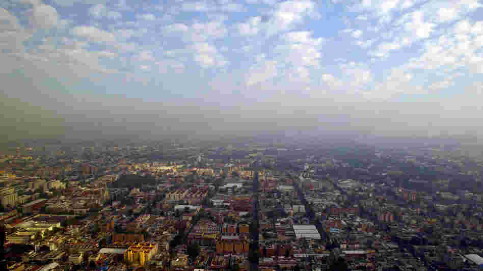 In heavily polluted Mexico City, crime writer Paco Ignacio Taibo II describes his exhausted detective Hector Belascoaran Shayne as looking out at his hometown and seeing "a city that was trying to hide itself in the smog." In heavily polluted Mexico City, crime writer Paco Ignacio Taibo II describes his exhausted detective Hector Belascoaran Shayne as looking out at his hometown and seeing "a city that was trying to hide itself in the smog."