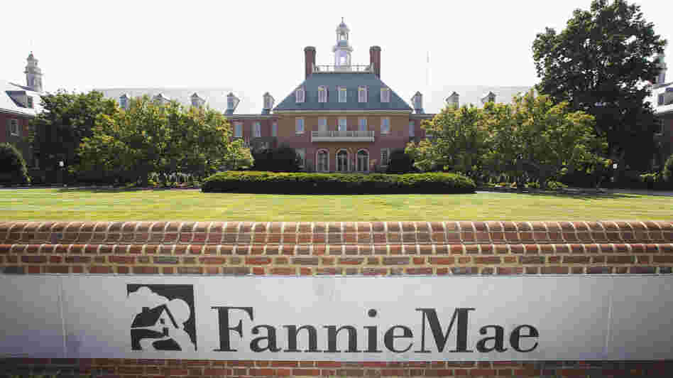 Created by the federal government during the Great Depression, Fannie Mae became a Washington powerhouse: a highly profitable, private company, protected by the government and boasting huge lobbying clout. But today, Fannie Mae has essentially become a ward of the state. Created by the federal government during the Great Depression, Fannie Mae became a Washington powerhouse: a highly profitable, private company, protected by the government and boasting huge lobbying clout. But today, Fannie Mae has essentially become a ward of the state.