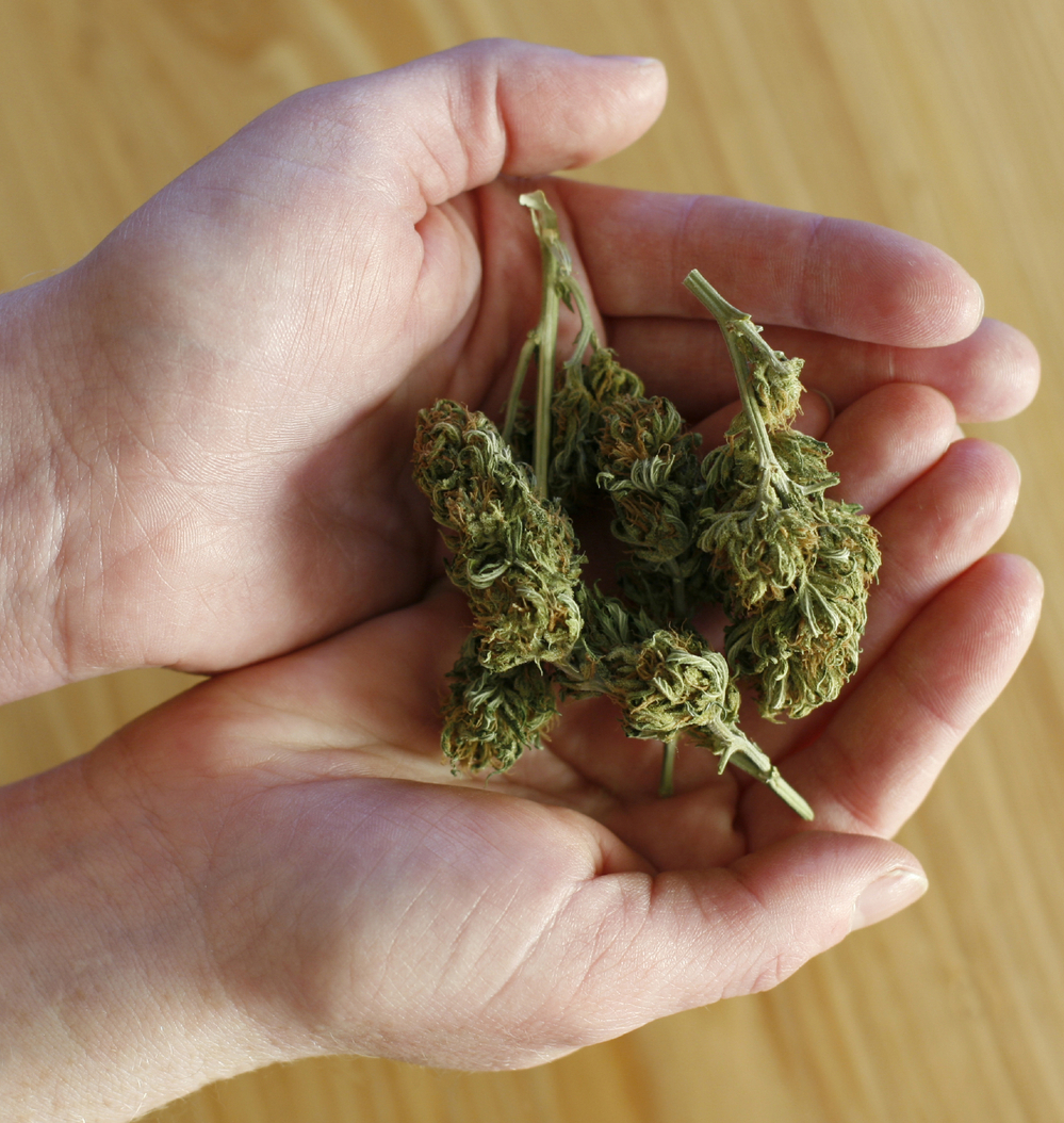 In Chicago, nearly nine out of 10 low-level marijuana busts result in a dismissal.