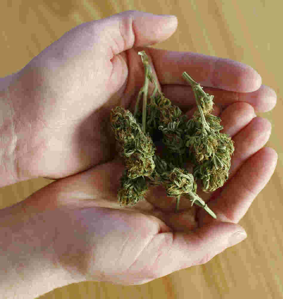 In Chicago, nearly nine out of 10 low-level marijuana busts result in a dismissal.