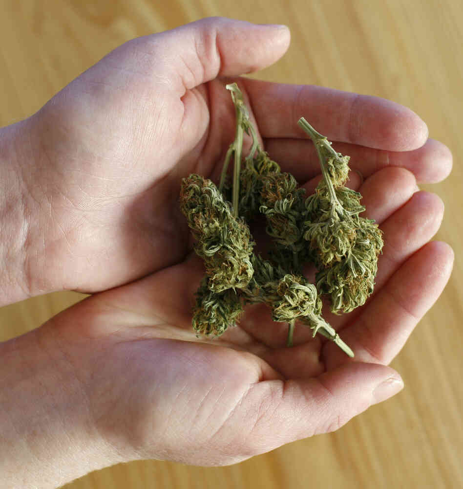 In Chicago, nearly nine out of 10 low-level marijuana busts result in a dismissal.