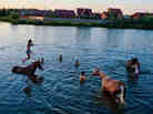Summer, the short, sweet release from the interminable cocoon of Russian winter, is a time for swimming and riding, and sometimes both. Summer, the short, sweet release from the interminable cocoon of Russian winter, is a time for swimming and riding, and sometimes both.