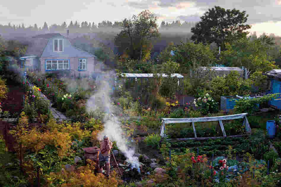 At his dacha, Sergey Yudin plants, burns weeds and indulges the "inner peasant" who lives within many Russians. In pinched Soviet times, such gardens grew some 90 percent of Russia's vegetables.