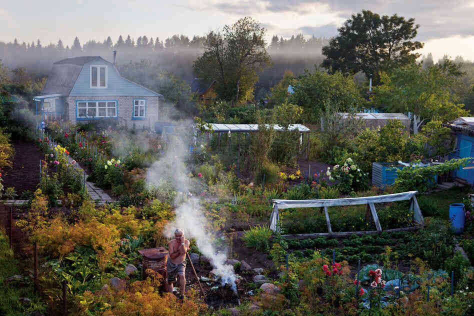 At his dacha, Sergey Yudin plants, burns weeds and indulges the "inner peasant" who lives within many Russians. In pinched Soviet times, such gardens grew some 90 percent of Russia's vegetables.