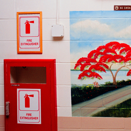 One of Al Black's landscape paintings in a Florida prison