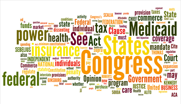 What does the court's decision look like in a "word cloud?" It looks like this.