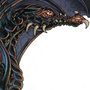 Cover Detail