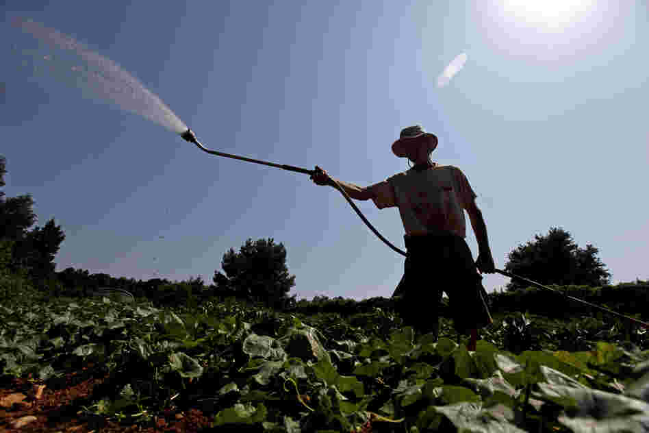 Doug Jones, owner of Piedmont Biofarm in Pittsboro, N.C., waters vegetables Friday as temperatures in the South soar. Triple-digit temperatures are expected for several days in North Carolina.