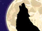 werewolf! werewolf!