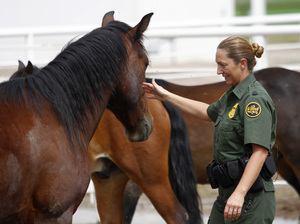 Border Patrol Agent Bobbi Schad pets a mustang at the agency's training facility in Willcox, Ariz., last August.