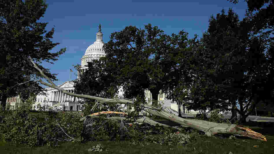 Branches and power lines littered the nation's capital after bruising storms swept through the Mid-Atlantic region on Friday night.