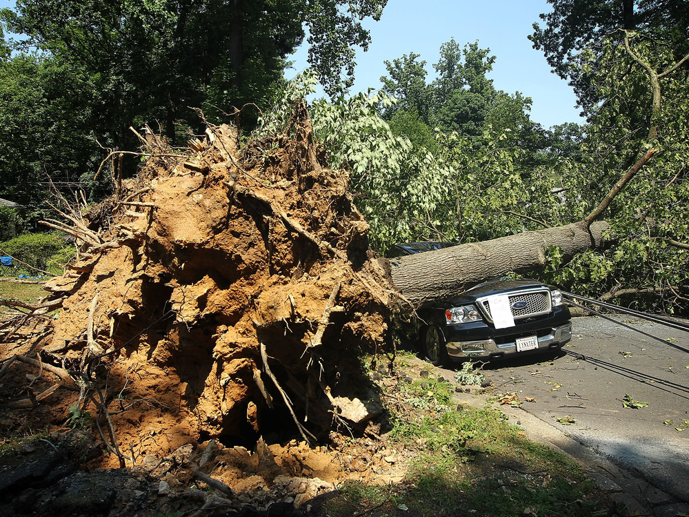 A downed tree lies on a truck in Falls Church, Va., after a powerful storm struck the area on Friday.