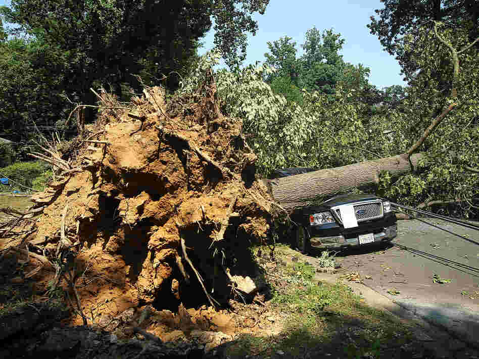 A downed tree lies on a truck in Falls Church, Va., after a powerful storm struck the area on Friday.