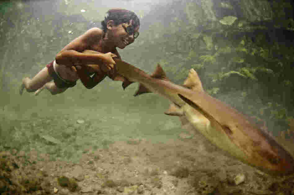 "Enal, a young sea nomad, rides on the tail of a tawny nurse shark in Sulawesi, Indonesia. Marine nomadism has almost completely disappeared in Southeast Asia as a result of severe marine degradation. I believe children such as Enal have stories that could prove pivotal in contemporary marine conservation."