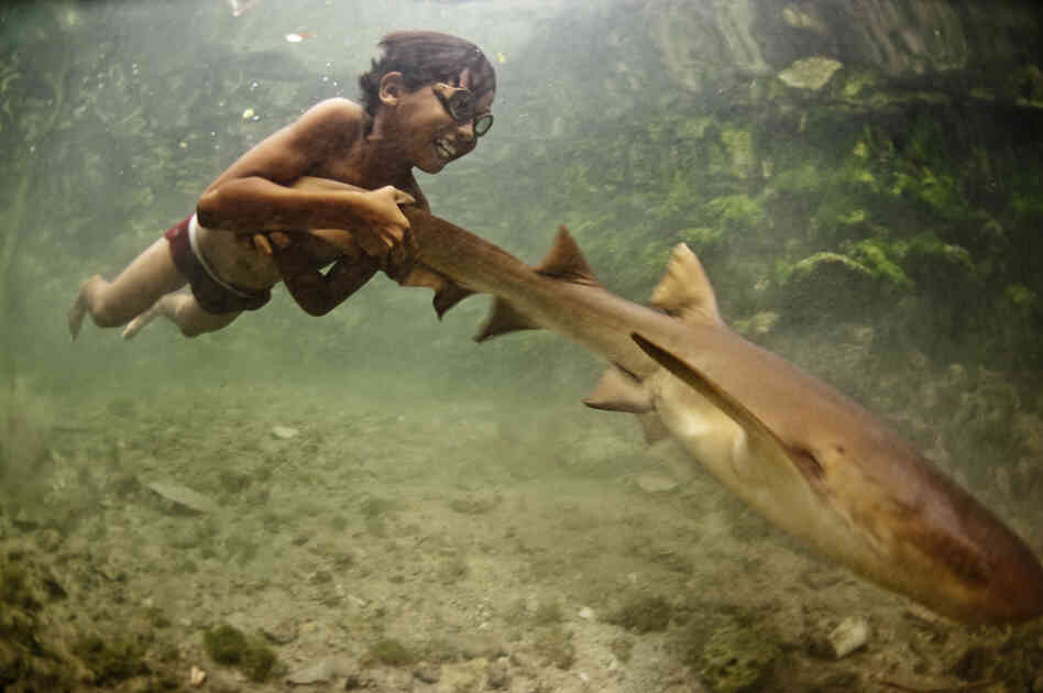 "Enal, a young sea nomad, rides on the tail of a tawny nurse shark in Sulawesi, Indonesia. Marine nomadism has almost completely disappeared in Southeast Asia as a result of severe marine degradation. I believe children such as Enal have stories that could prove pivotal in contemporary marine conservation."
