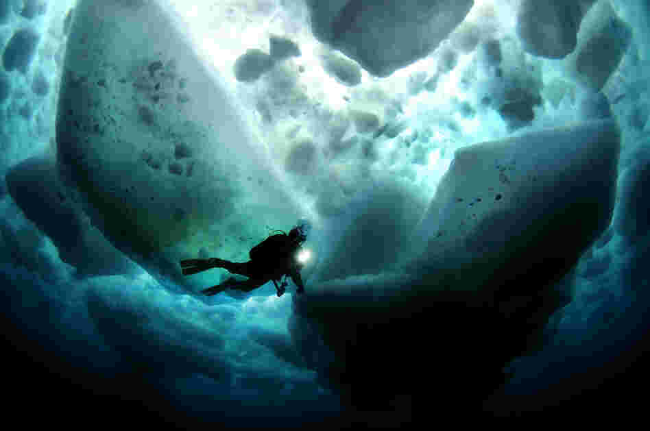"A magical moment as tons of sea ice floats above while we explore the world beneath the waves."