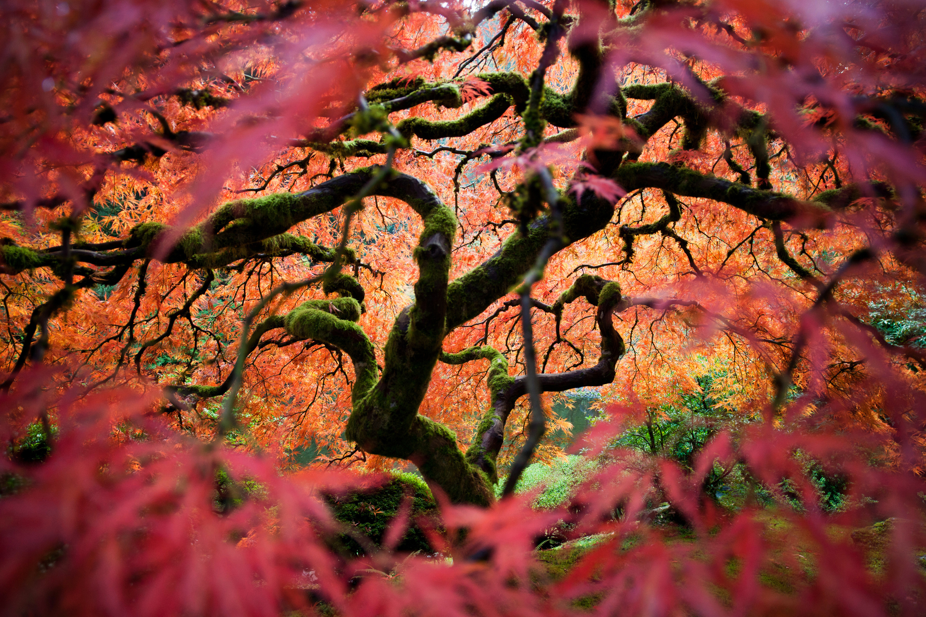 http://media.npr.org/assets/img/2012/07/02/2012-06-04_130512_outdoor-scenes-7a9be13f562e65a9149a8411fb63e1948e0fe1c1.jpg