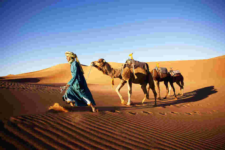 "A week's trip into the Sahara toward Algiers. Snapped this one of my guide in morning, after finishing our Moroccan tea."
