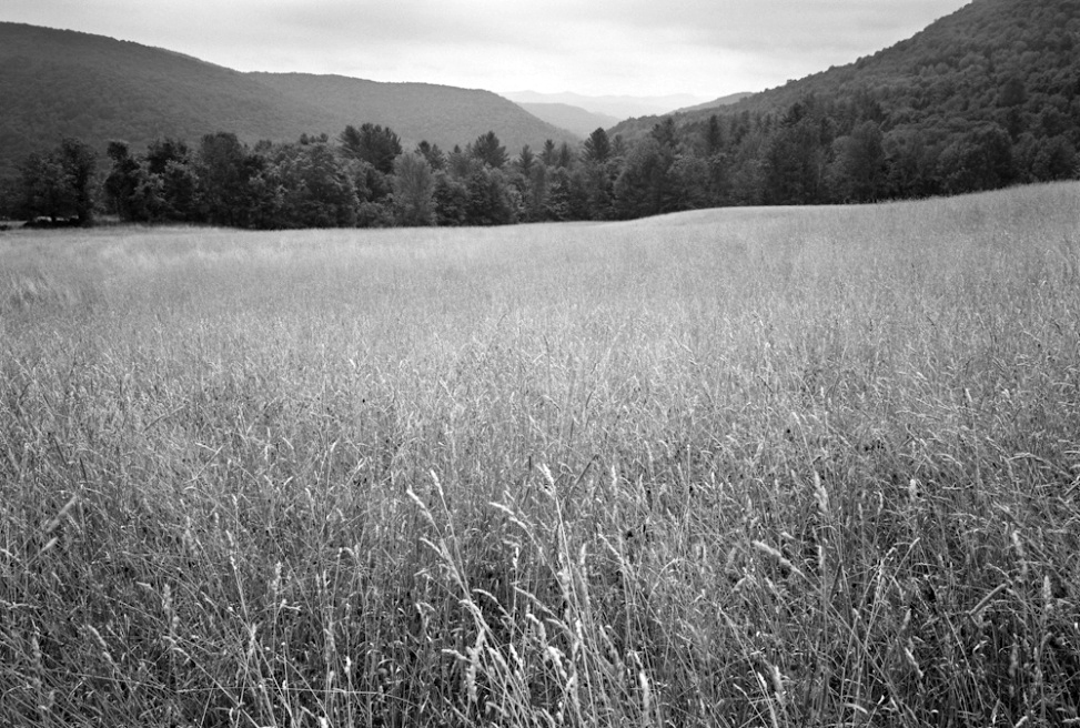 From the series Sending Milk, a project documenting Vermont family farms.