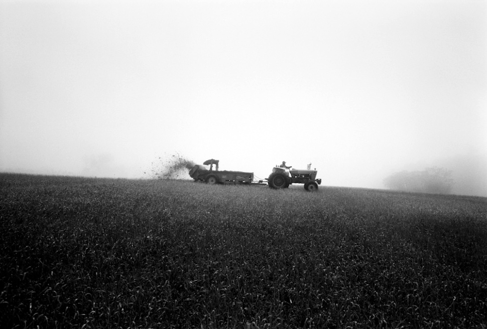 From the series Sending Milk, a project documenting Vermont family farms.